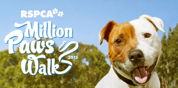 Million Paws Walk supporter - Ace Parking-Car Park Solutions